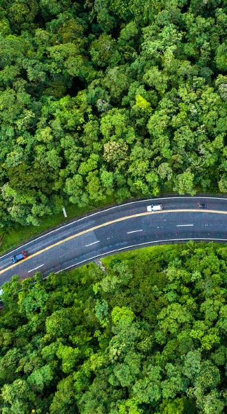 Straße führt durch grüne Wälder - Une route traverse des forêts verdoyantes