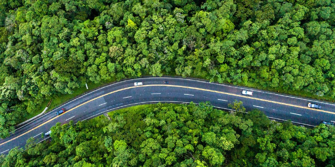 Straße führt durch grüne Wälder - Une route traverse des forêts verdoyantes