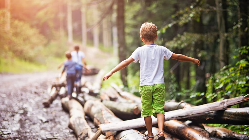 Kinde balancieren auf umgefallenen Bäumen