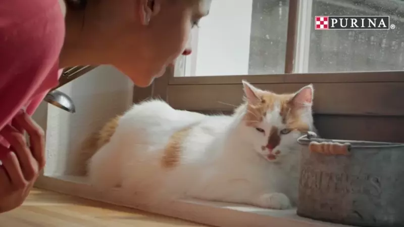 Histoire de prenom animation PURINA