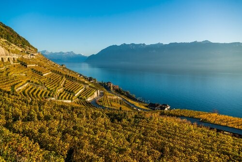 lavaux nature montains and lake
