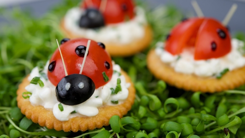 ladybugs on crackers