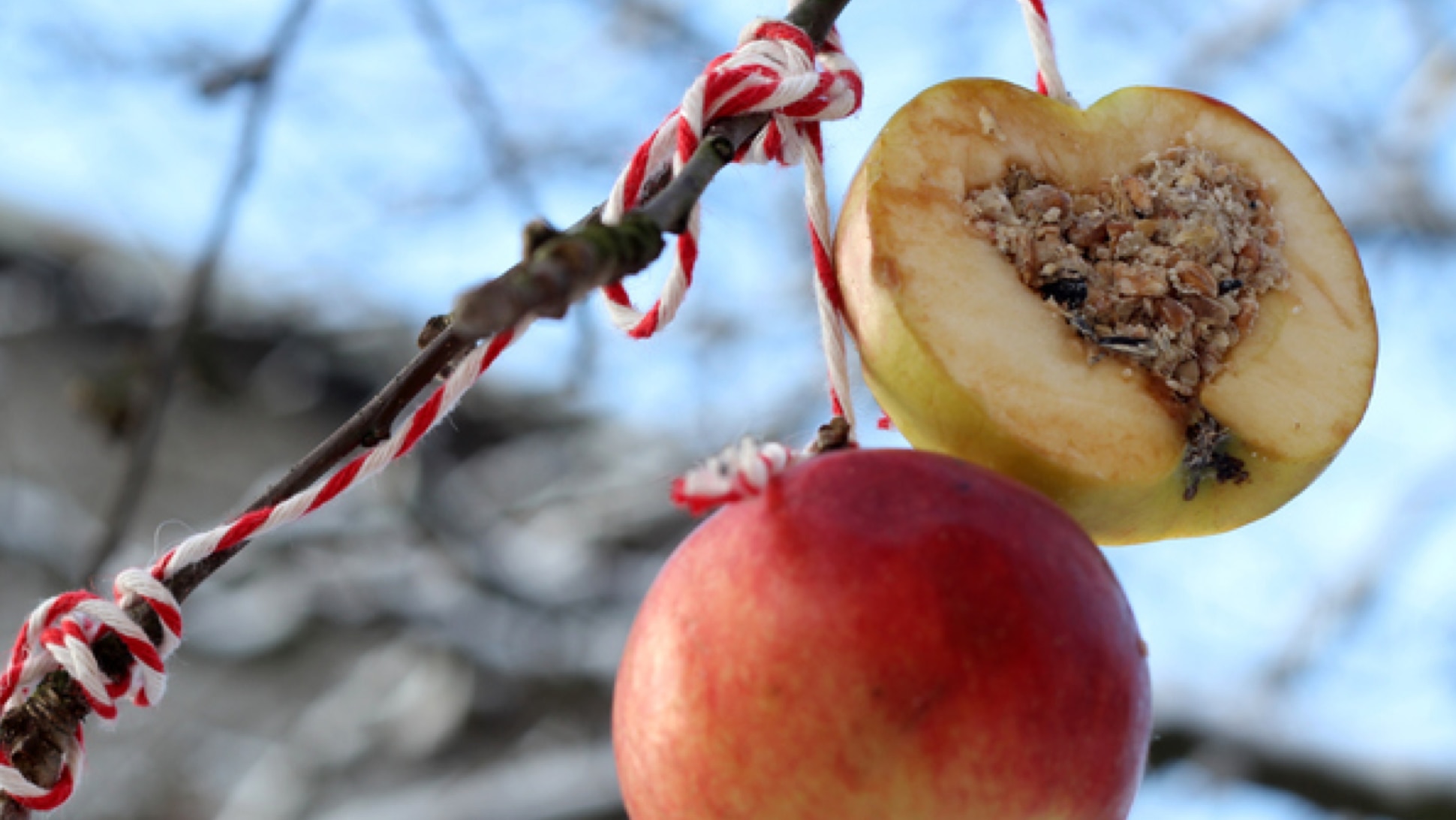 Vogelfutter_Apfel