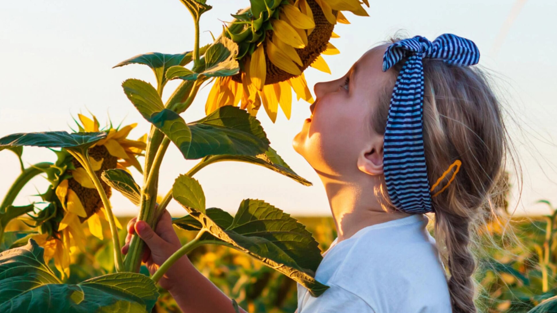Mädchen riecht an Sonnenblume