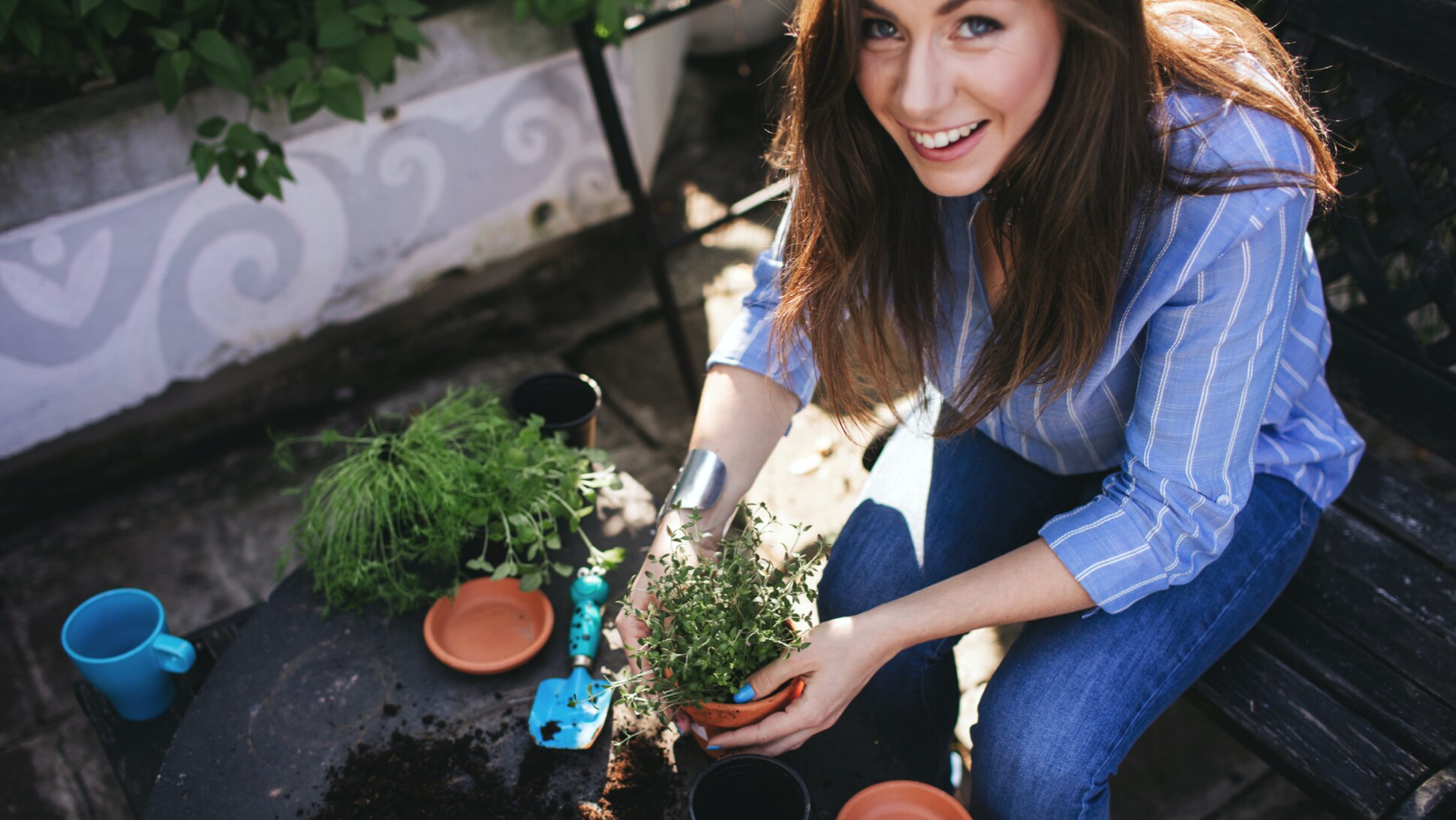 Frau pflanzt zu Hause an