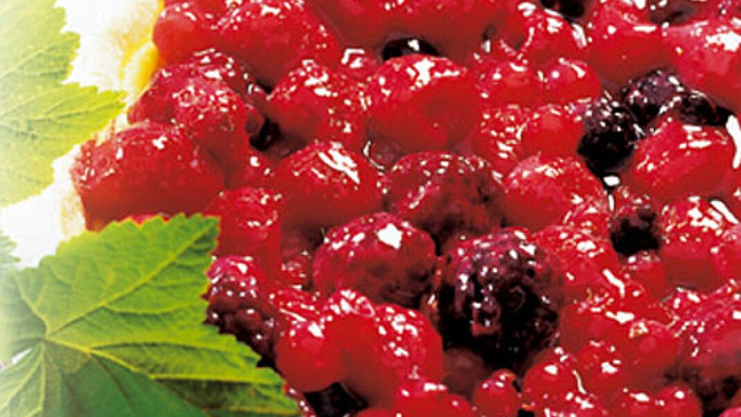 Heroimage_Beeren-Quark-Kuchen.png Fein und fix: Beeren-Quark-Kuchen