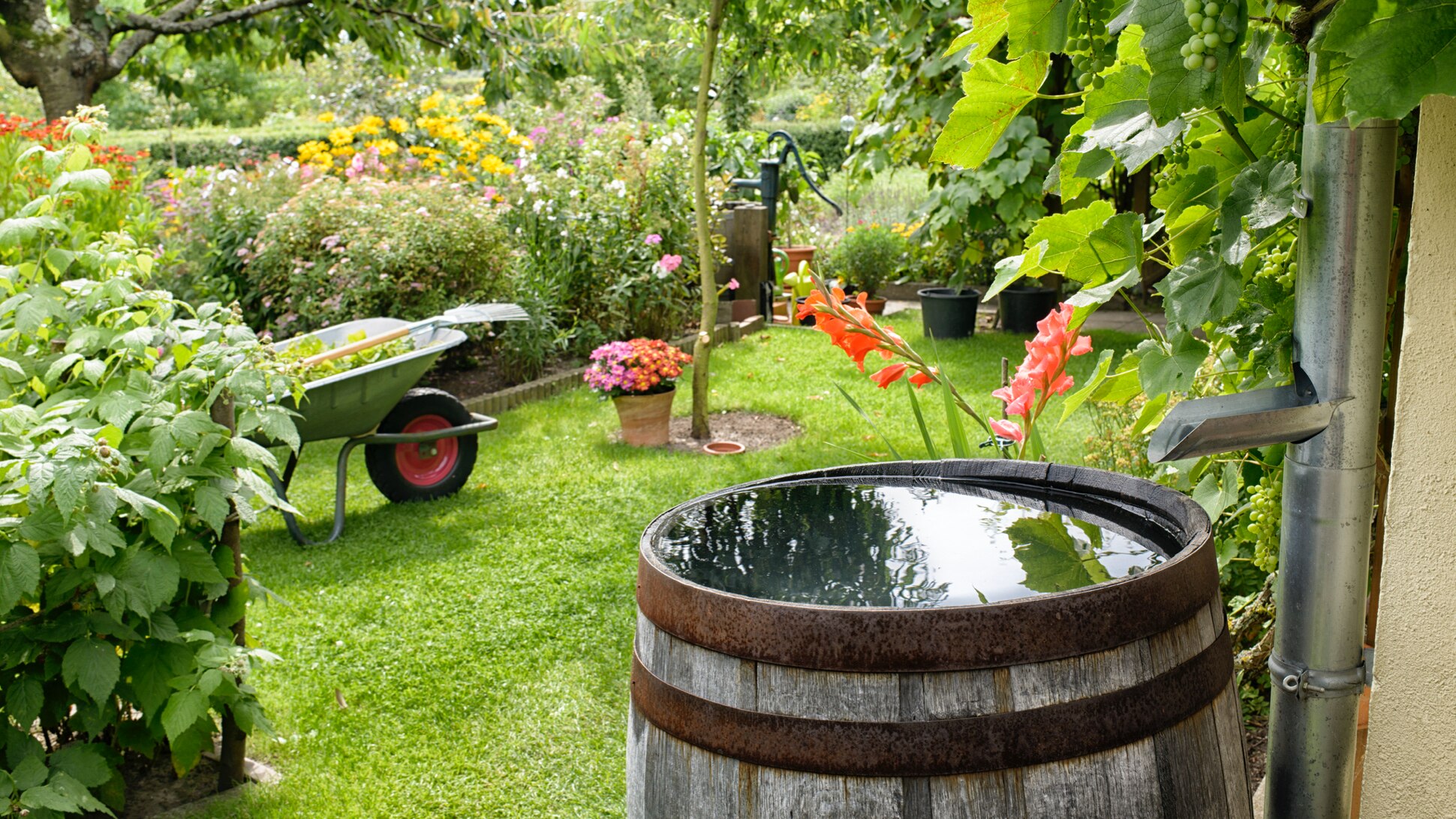 Wassertonne im Garten