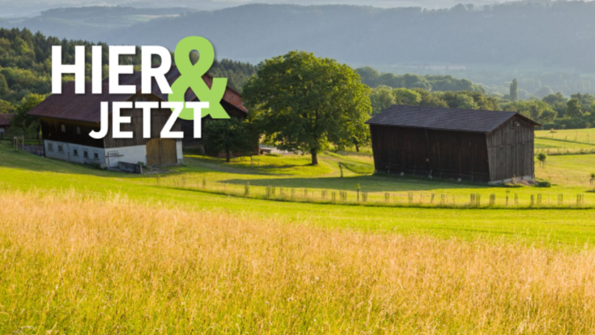 Feld mit Wiese