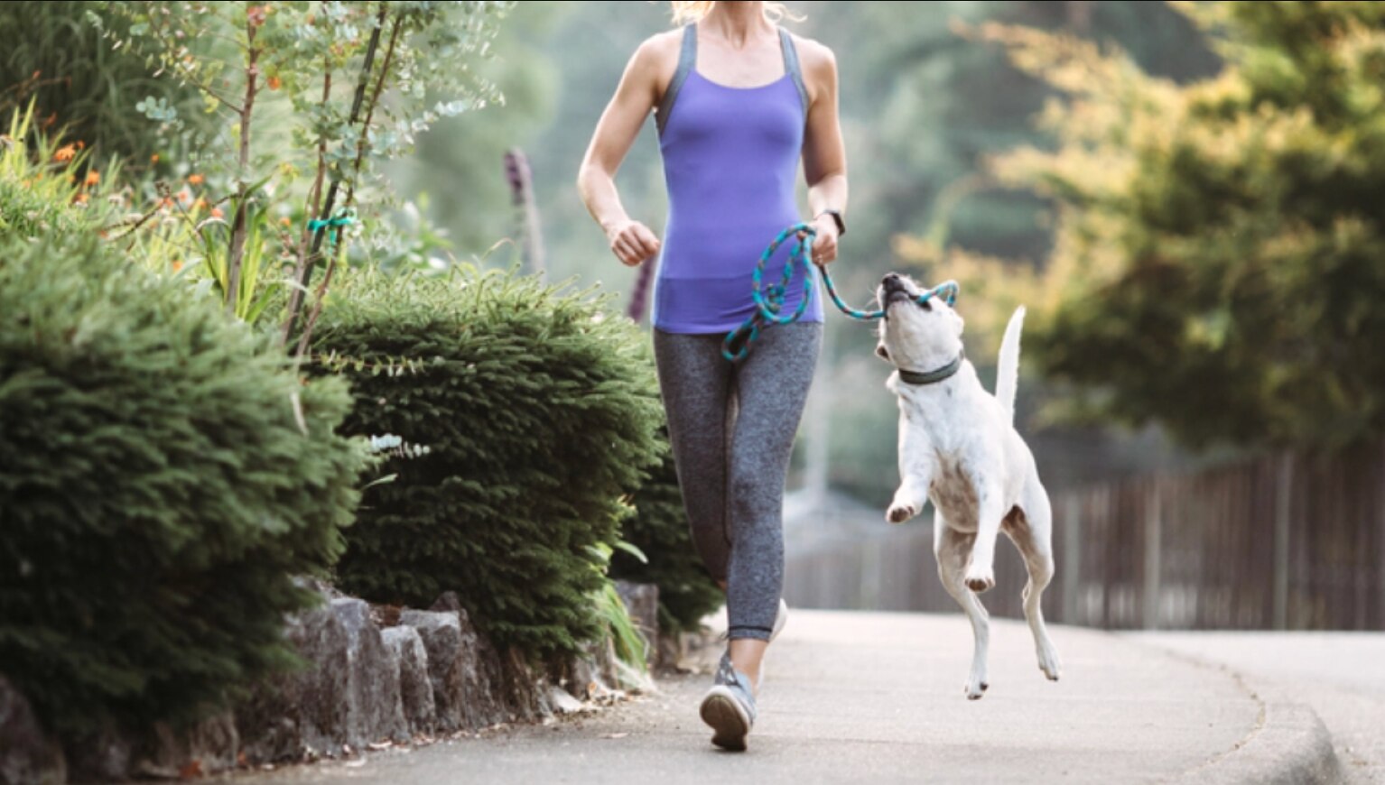 une femme fait du jogging avec son chien