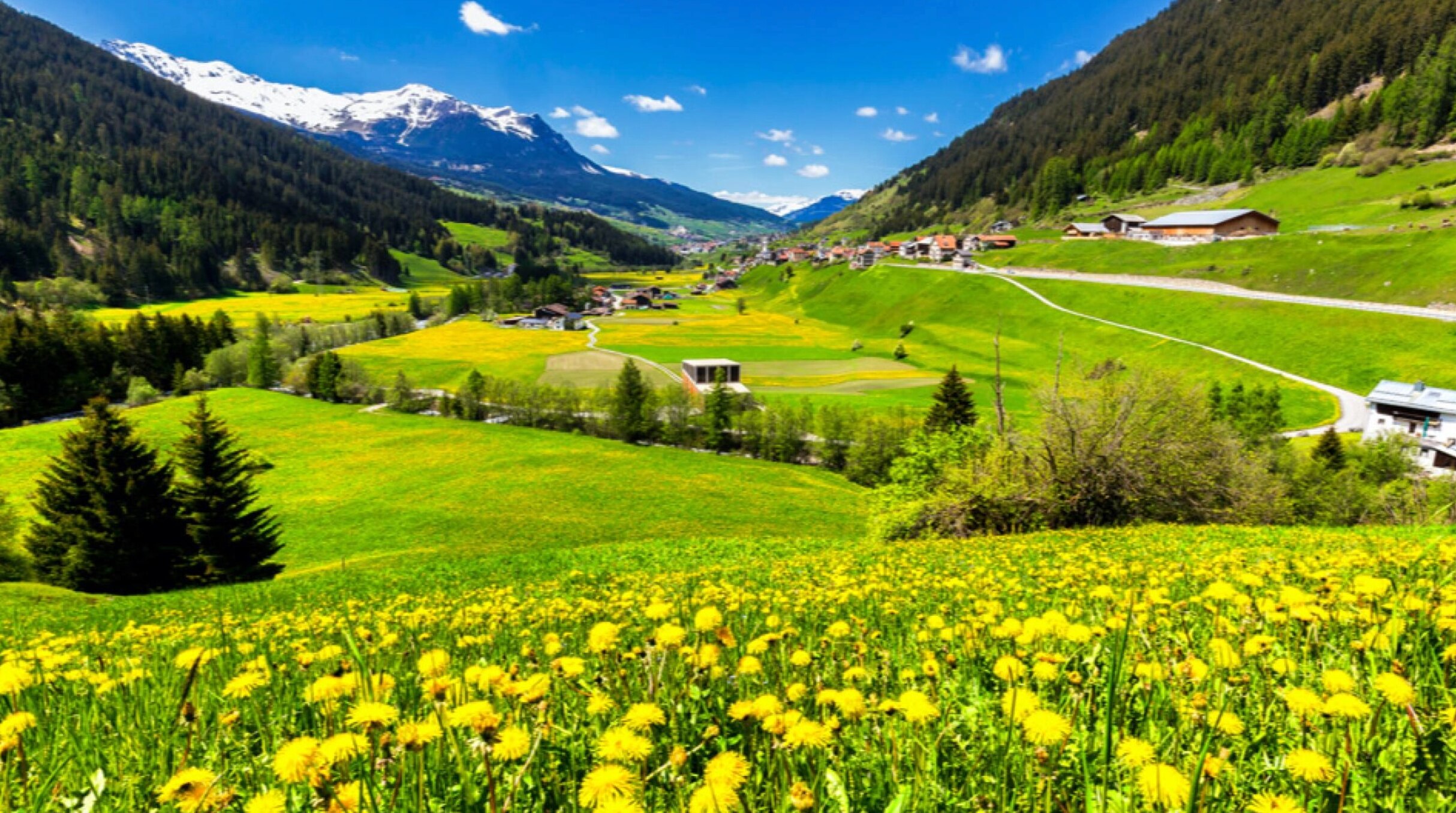 Nature et montagne