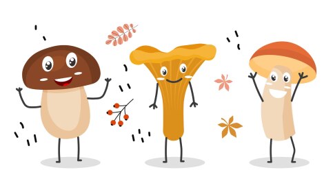 quelques-champignons-animes