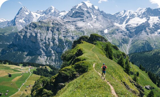 Panorama-montagneux-de-suisse