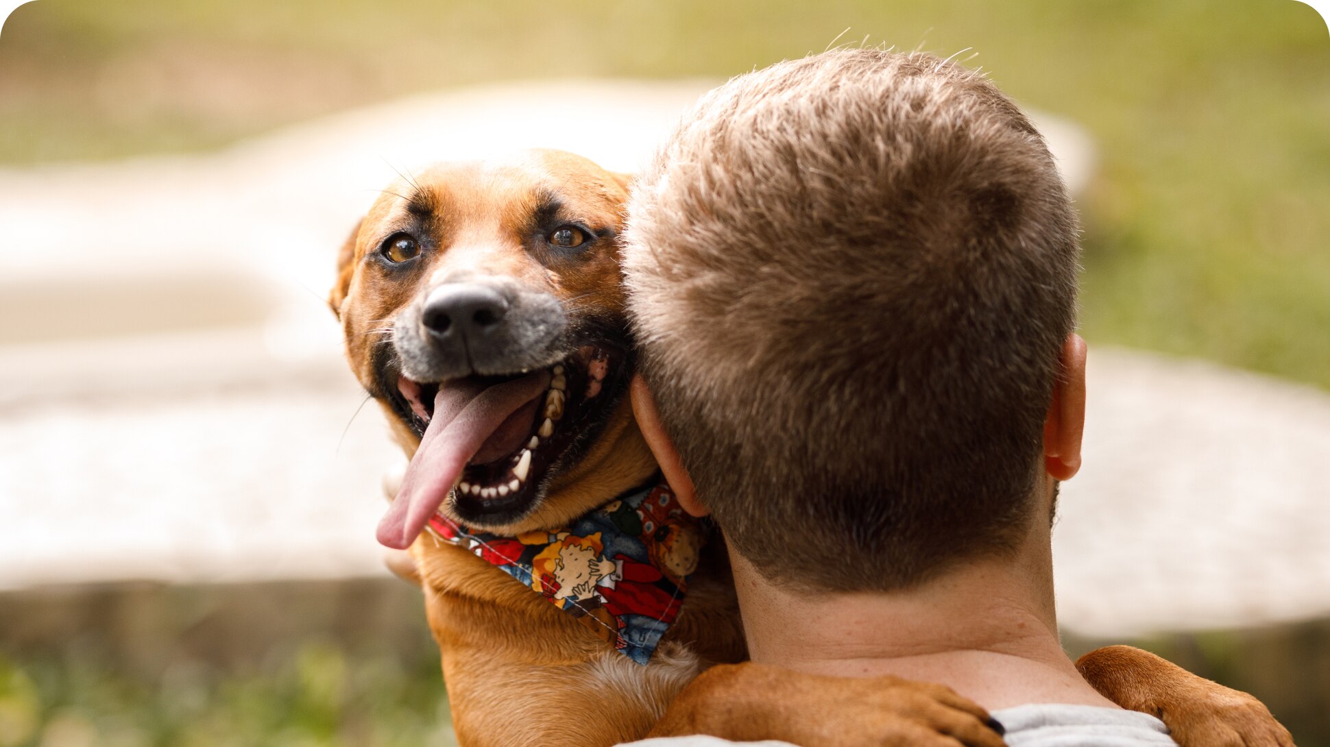 Hund-in-den-armen-seines-besitzers