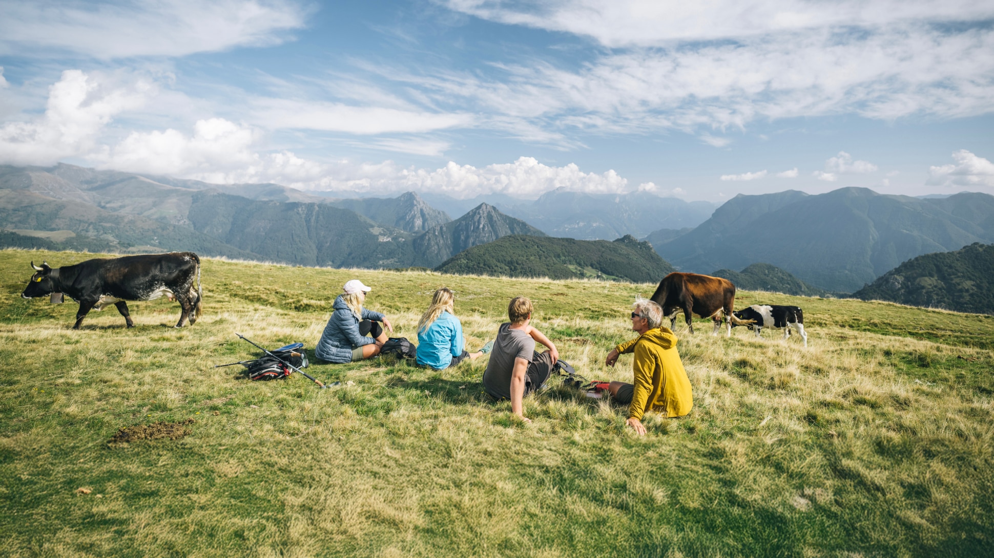 Picknick auf der Wiese