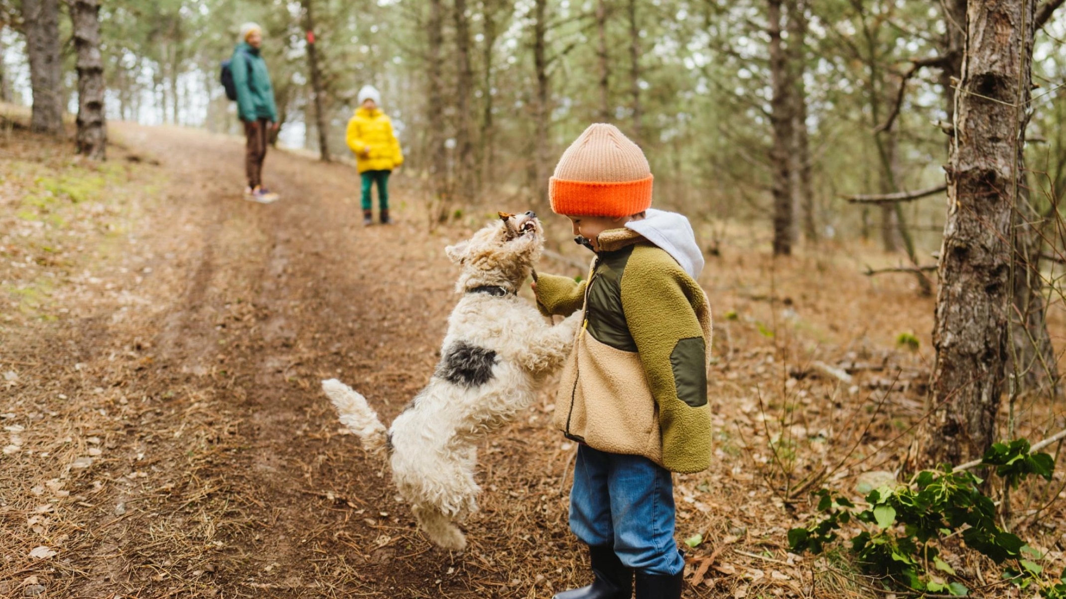 Enfant jouant avec un chien dans la forêt
