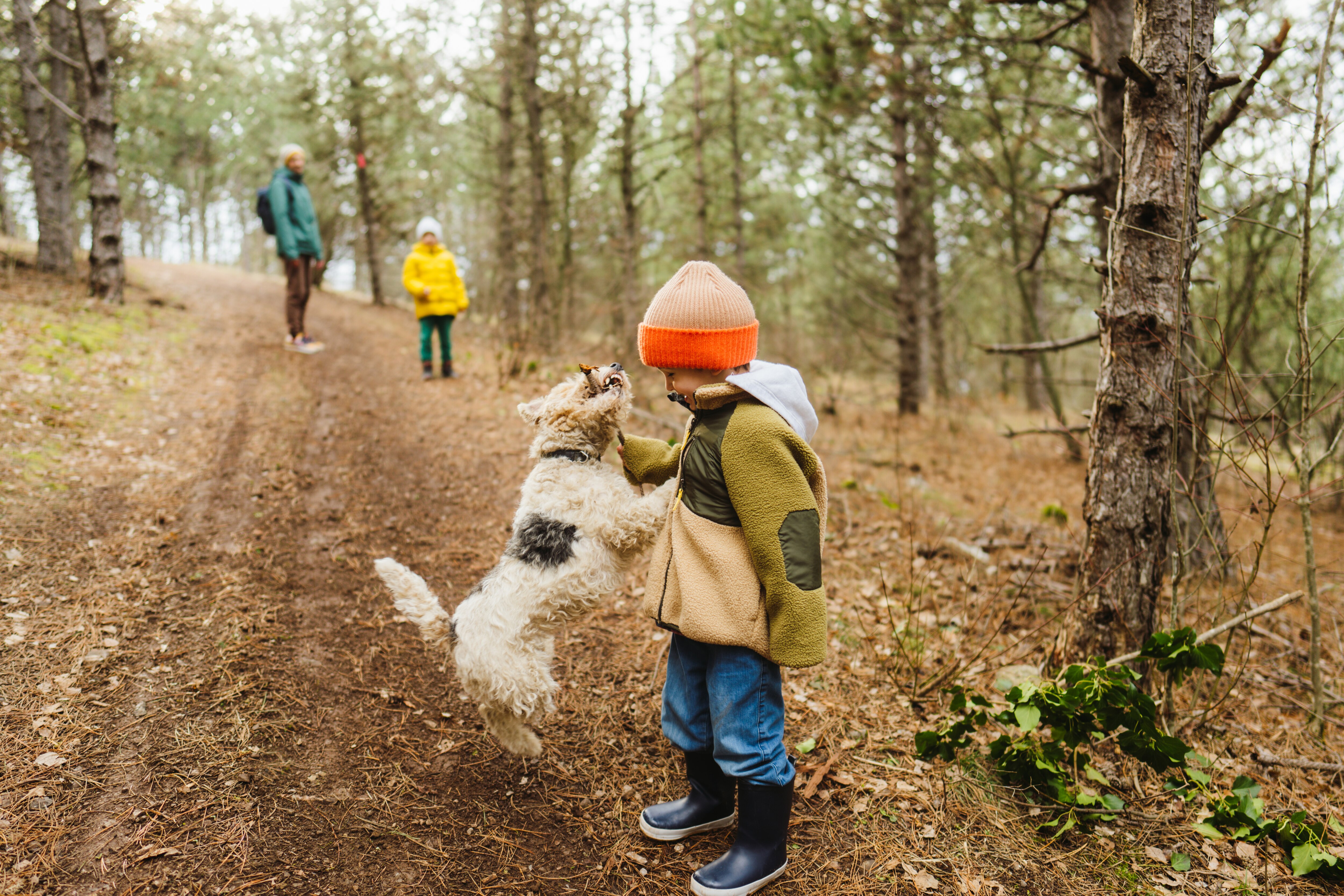 Outdoor-Ideen und Herbst-Tipps für draussen