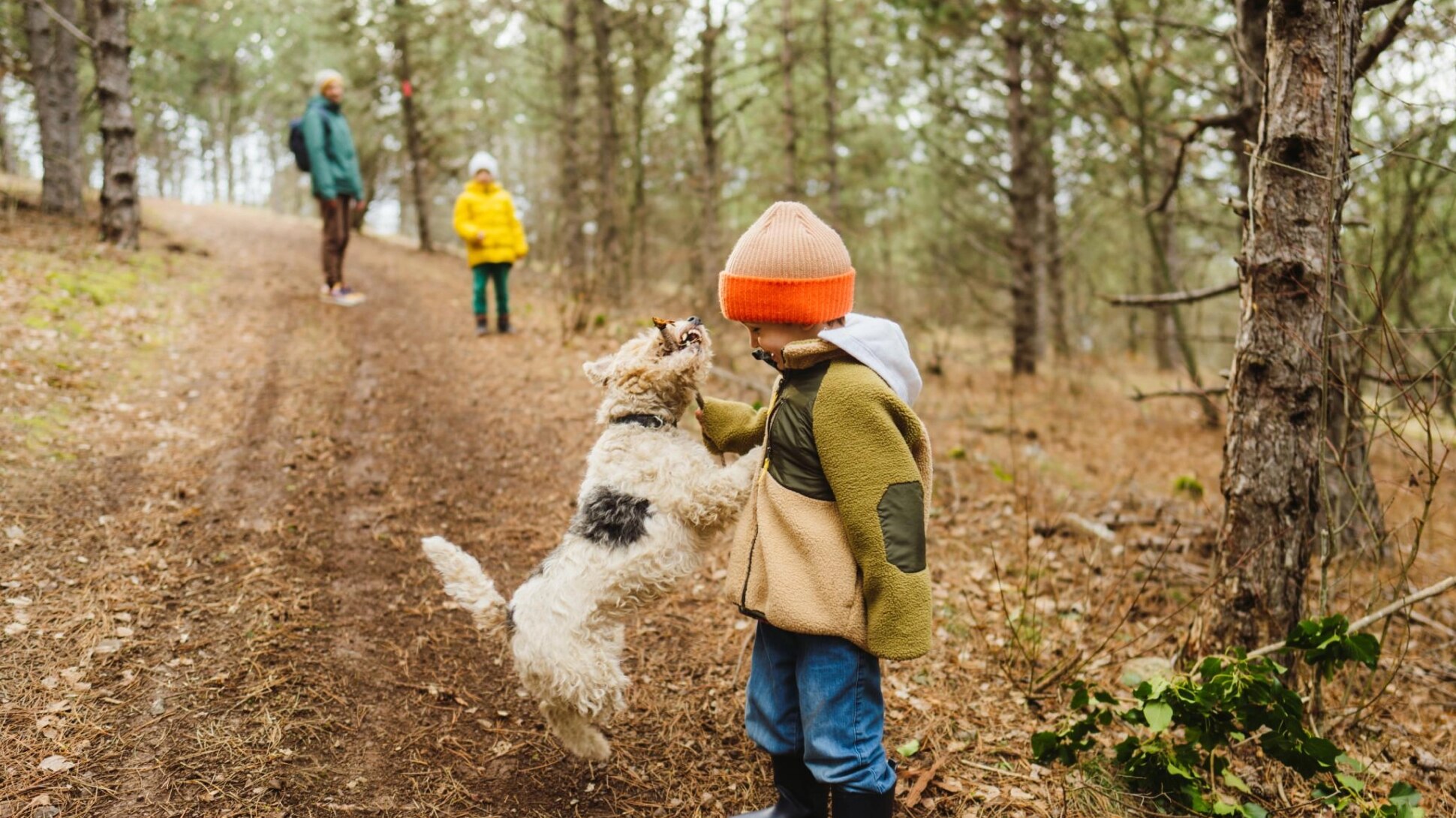 Hund und Junge spielen im Wald