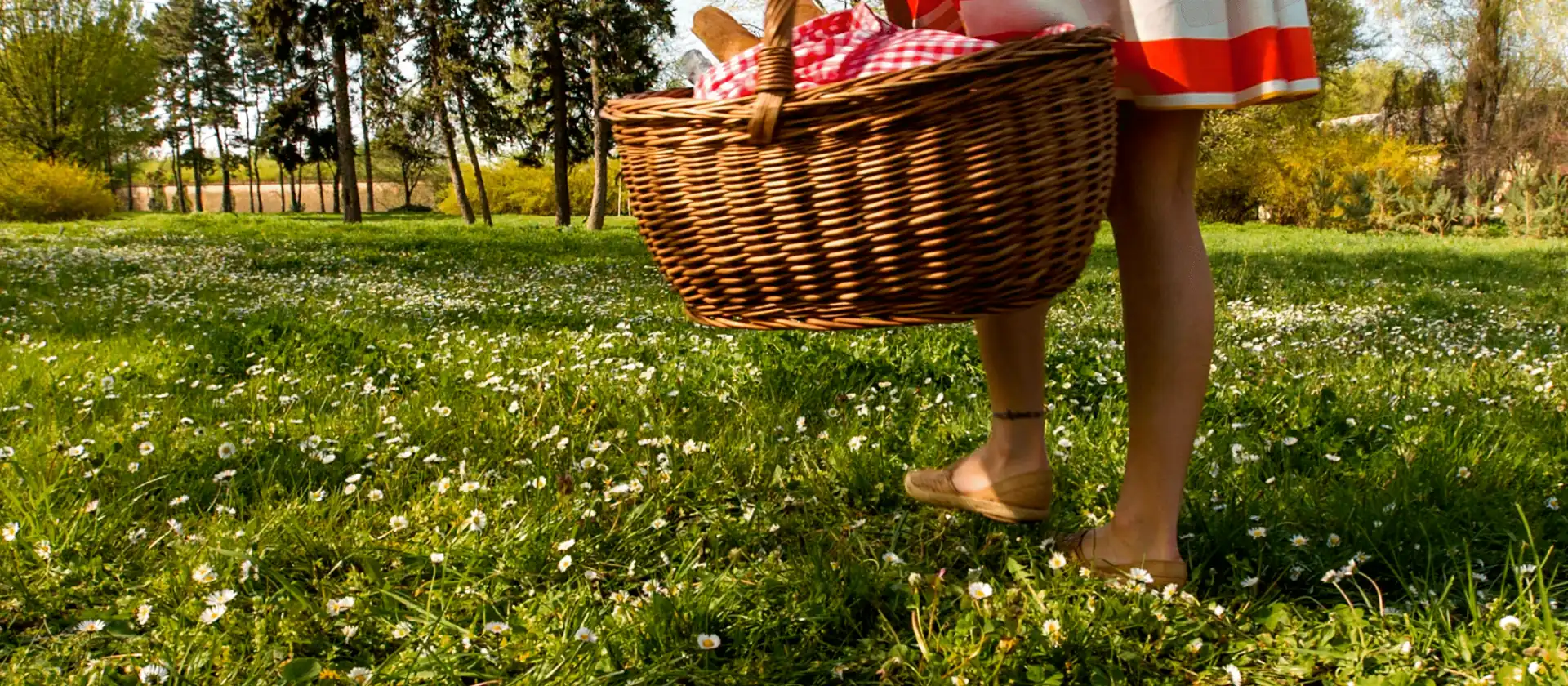 Rezeptideen für ein Feinschmecker-picknick
