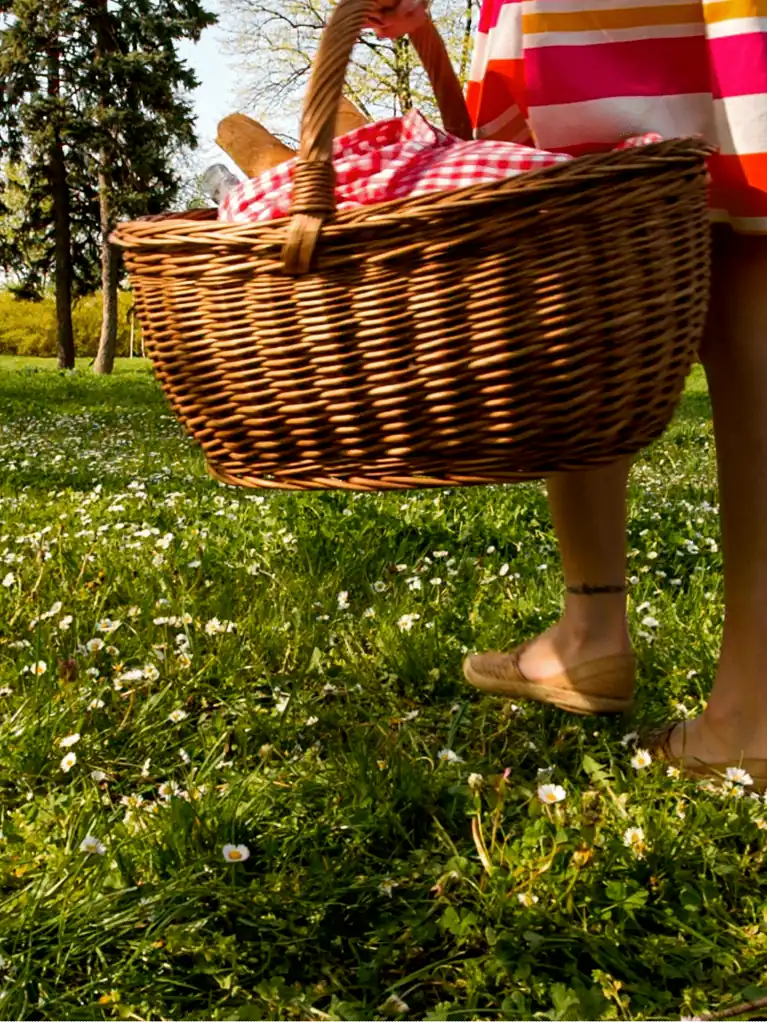 Rezeptideen für ein Feinschmecker-picknick
