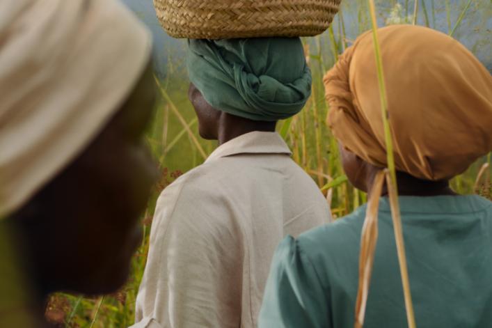Quand le café porte à nouveau ses fruits