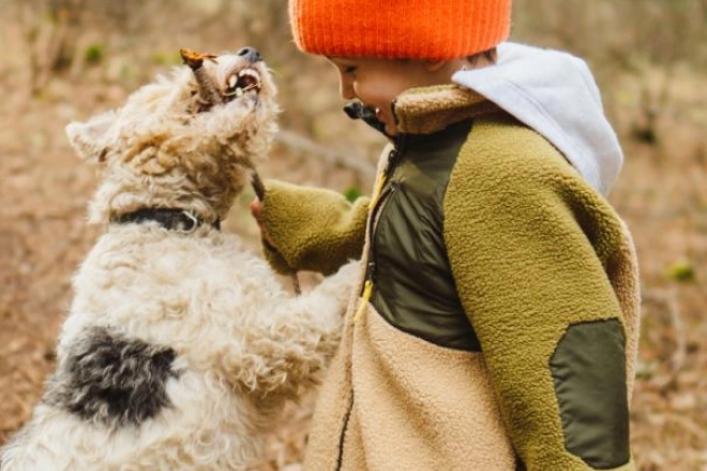 Enfant jouant avec un chien dans la forêt