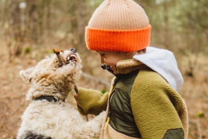 Kind spielt mit Hund im Wald