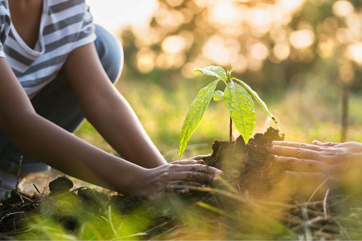 Eine Mutter hilft ihren Kindern, in der Natur Bäume zu pflanzen