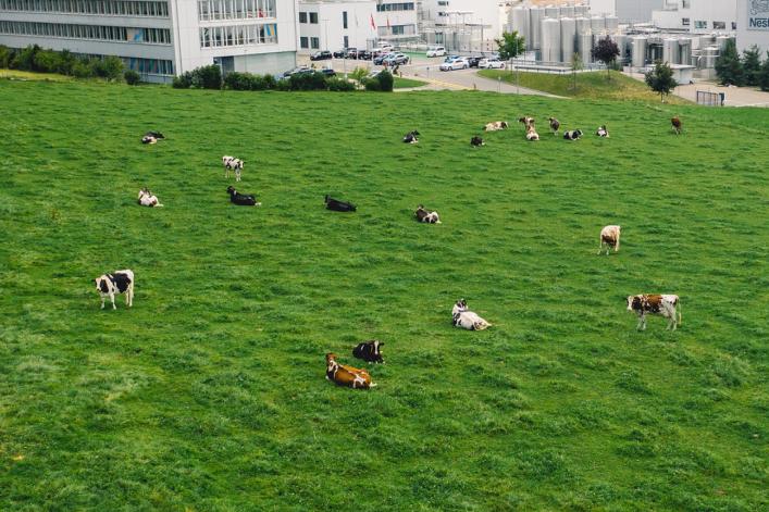 Nestlé Fabrik in Konolfingen 