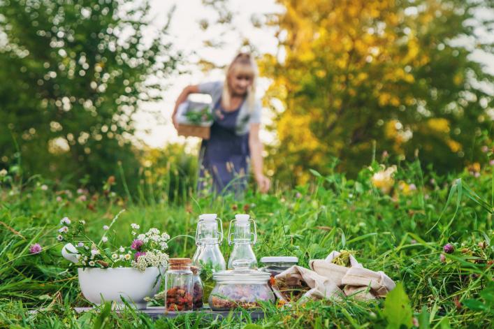 Les secrets des herbes suisses