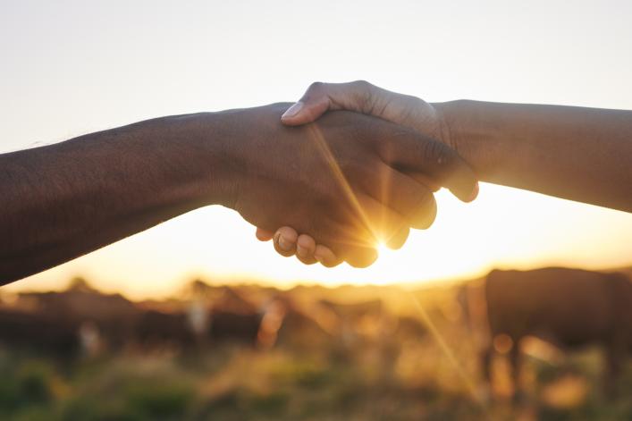 Ein Handschlag in einem Feld bei Sonnenuntergang.