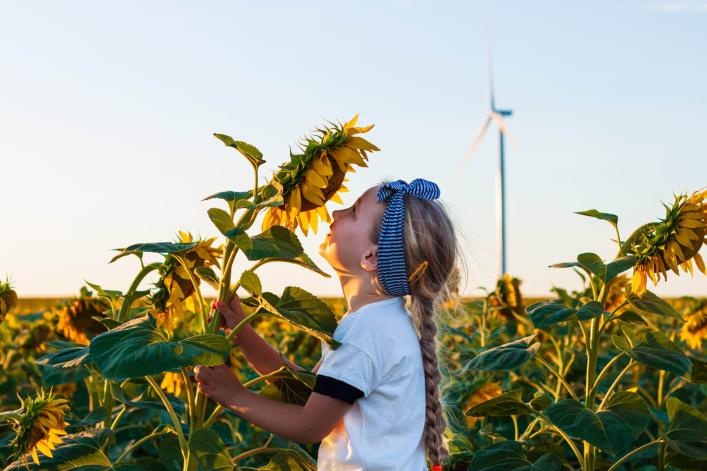 Fille mignonne dans le t-shirt blanc sentant le tournesol dans le champ sur le coucher du soleil