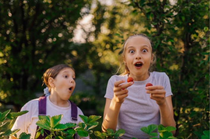 Kinder schauen Erwartungsvoll mit Obst in der Hand in die Kamera