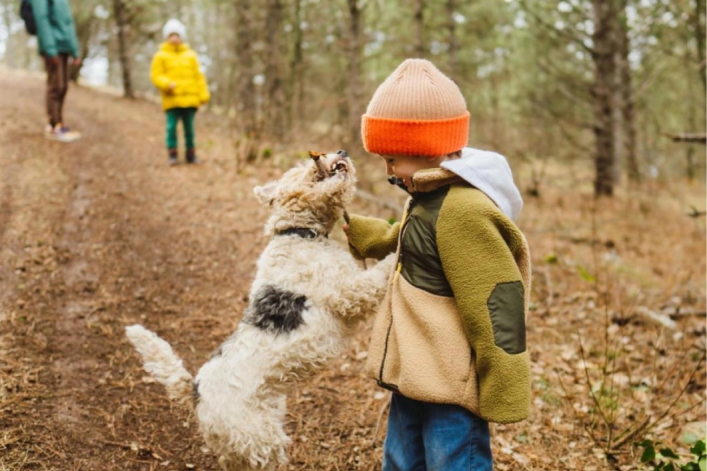 Junge spielt mit Hund