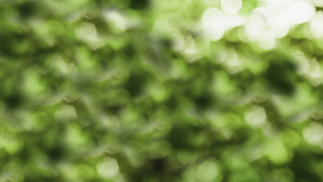 Hintergrund.png Hintergrund
