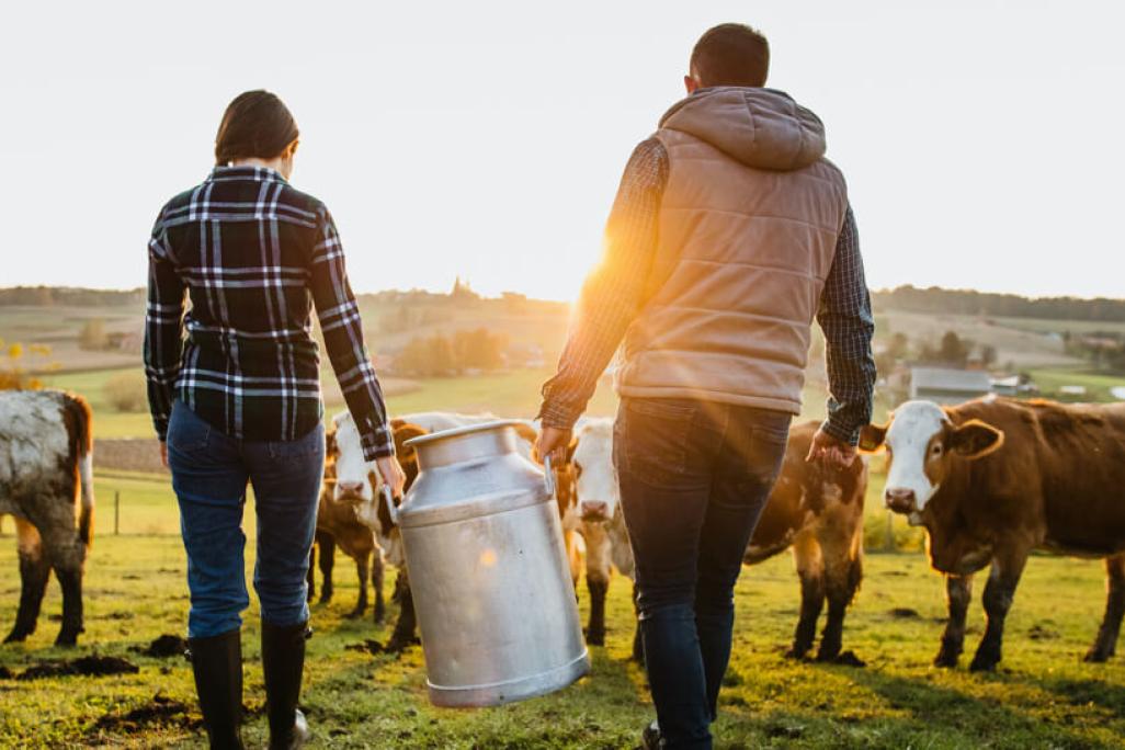 Paar trägt Milchkanne