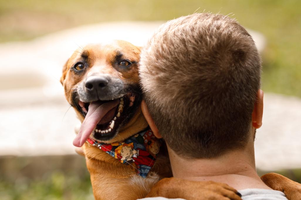 Hund-in-den-armen-seines-besitzers