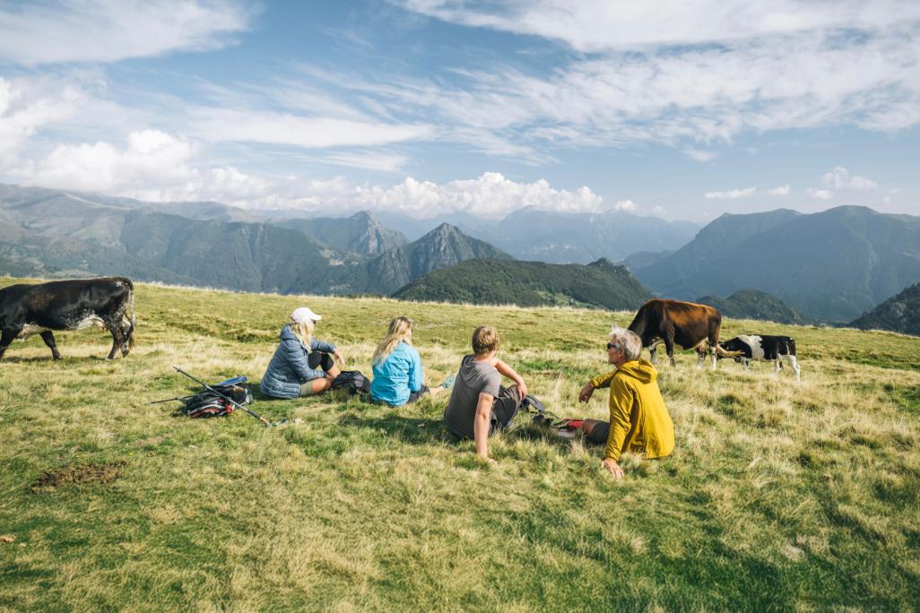 Picknick auf der Wiese