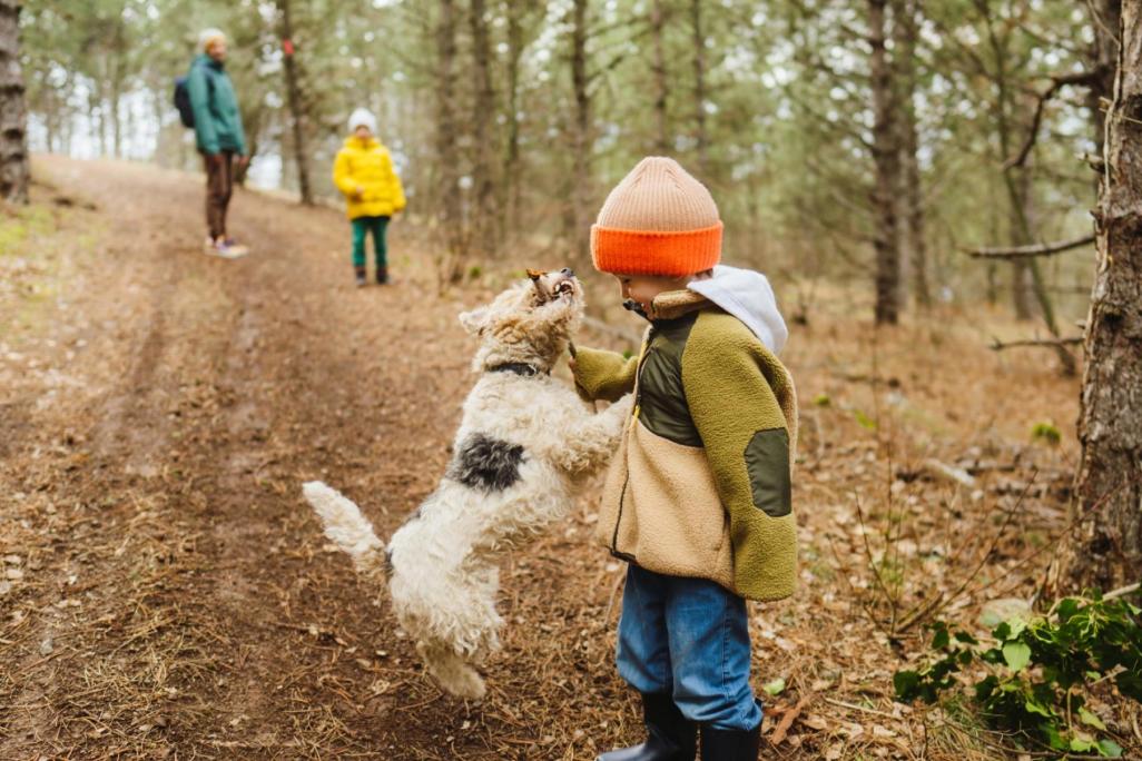 Kind spielt mit Hund im Wald
