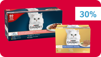 Gourmet