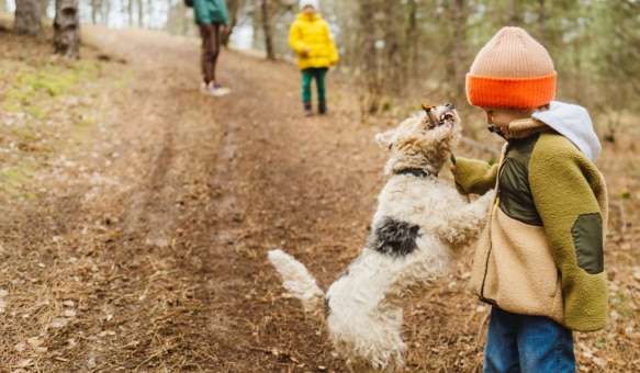 A boy and a dog playing in the forest in autumn