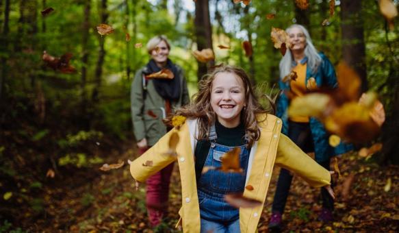 Oktober-Tipps