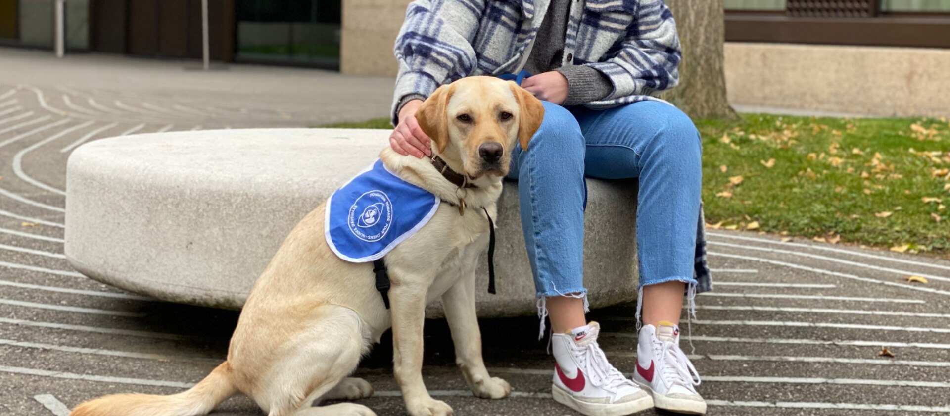 Blindenhund mit Mädchen