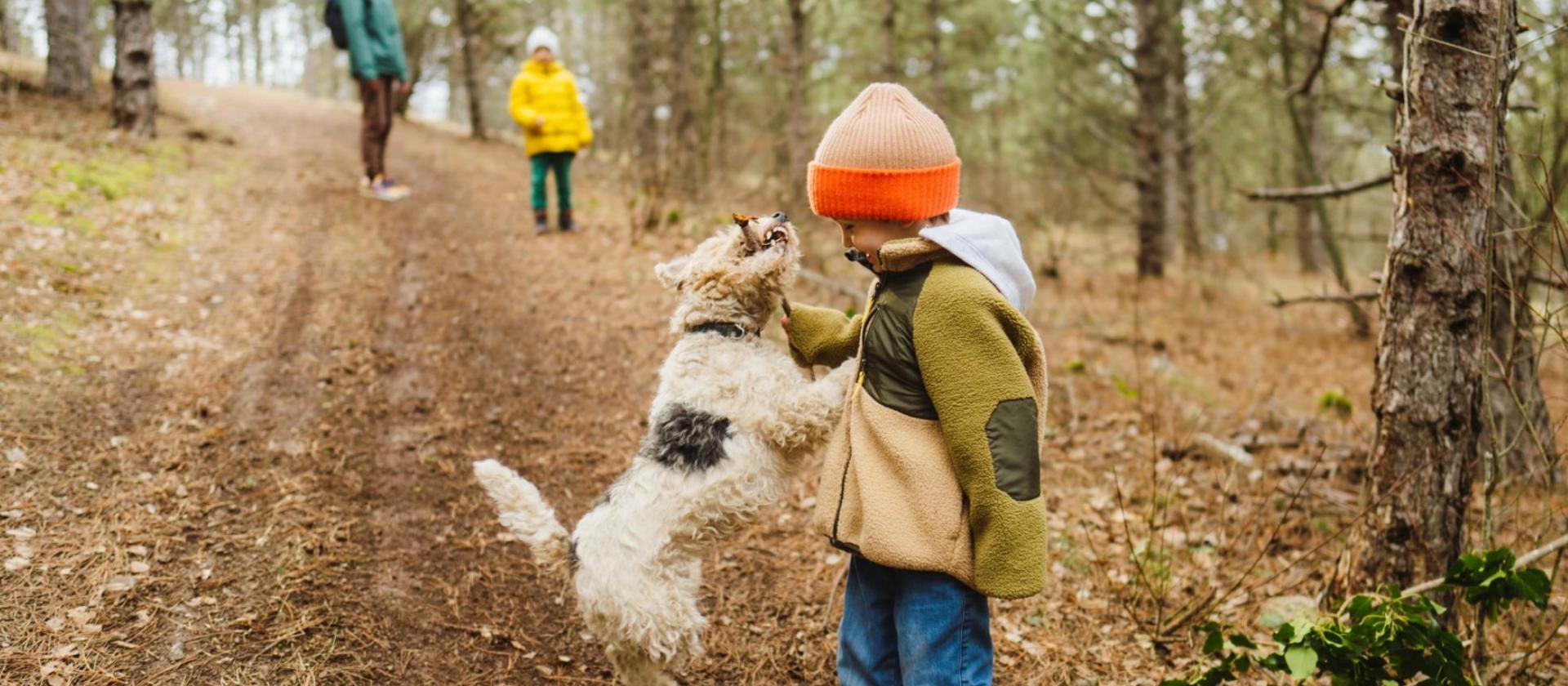 Kind spielt mit Hund im Wald