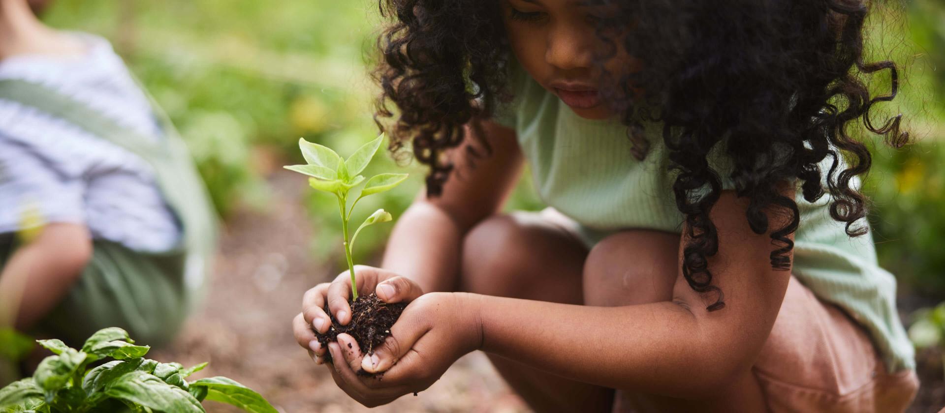 Ein kleines Mädchen pflanzt zusammen mit ihrem Vater ein Setzling im Familiengarten