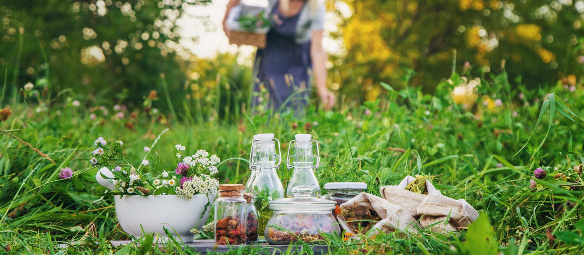 Les secrets des herbes suisses