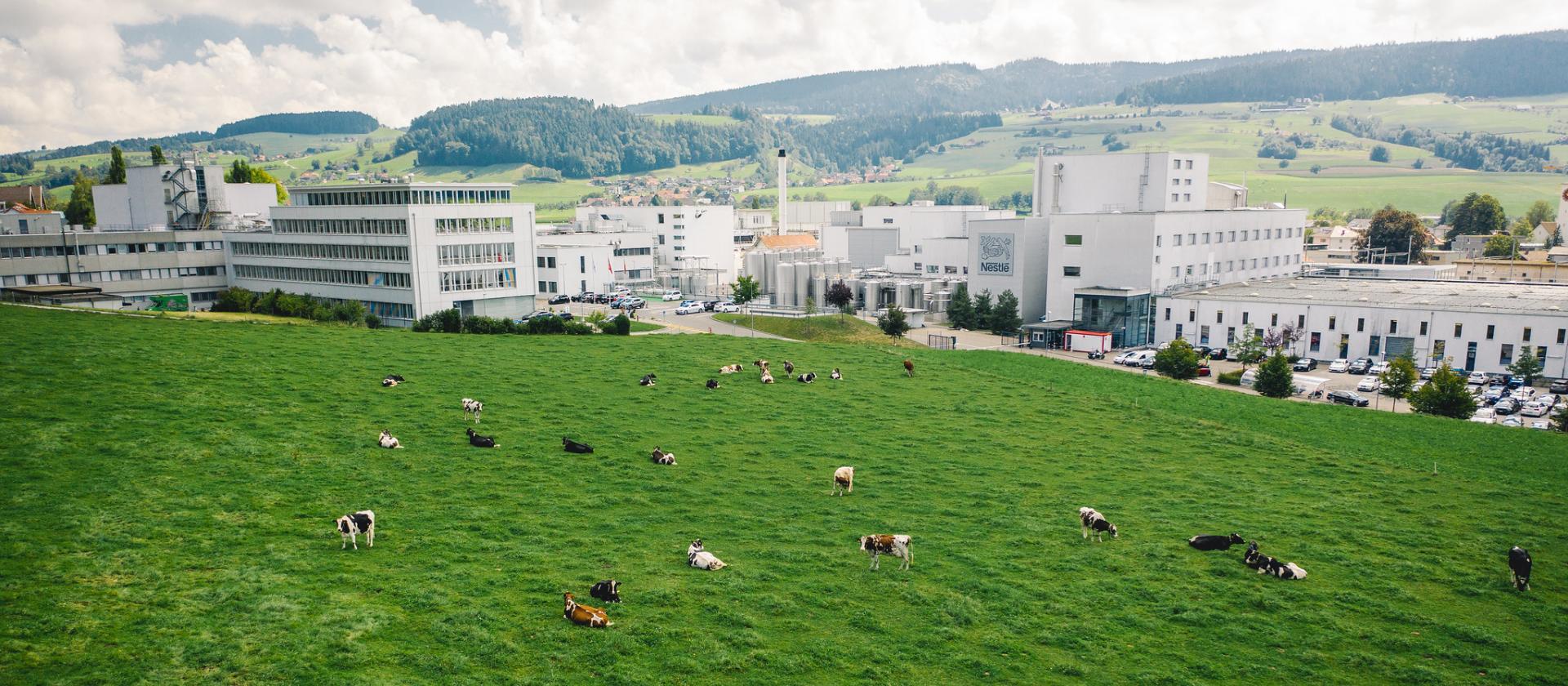 Nestlé Fabrik in Konolfingen 