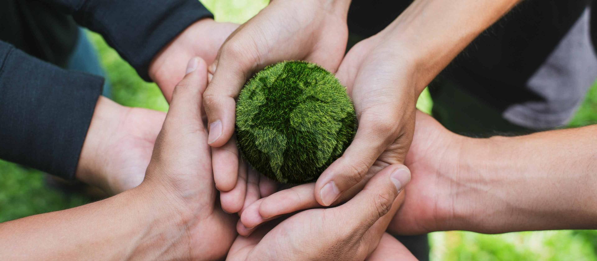 Buitoni - Unsere nachhaltige Entwicklung