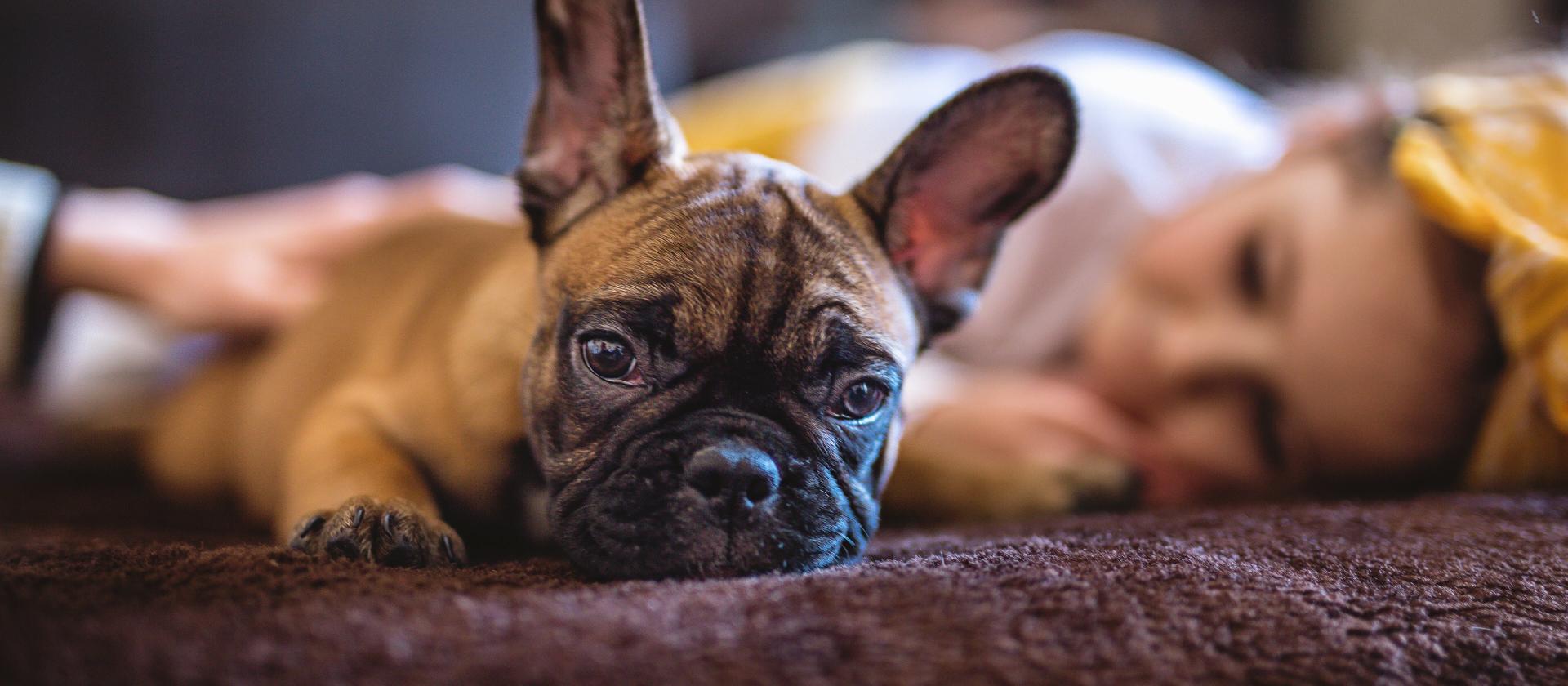 Mutter und Tochter kuscheln mit ihrem Welpen im Bett