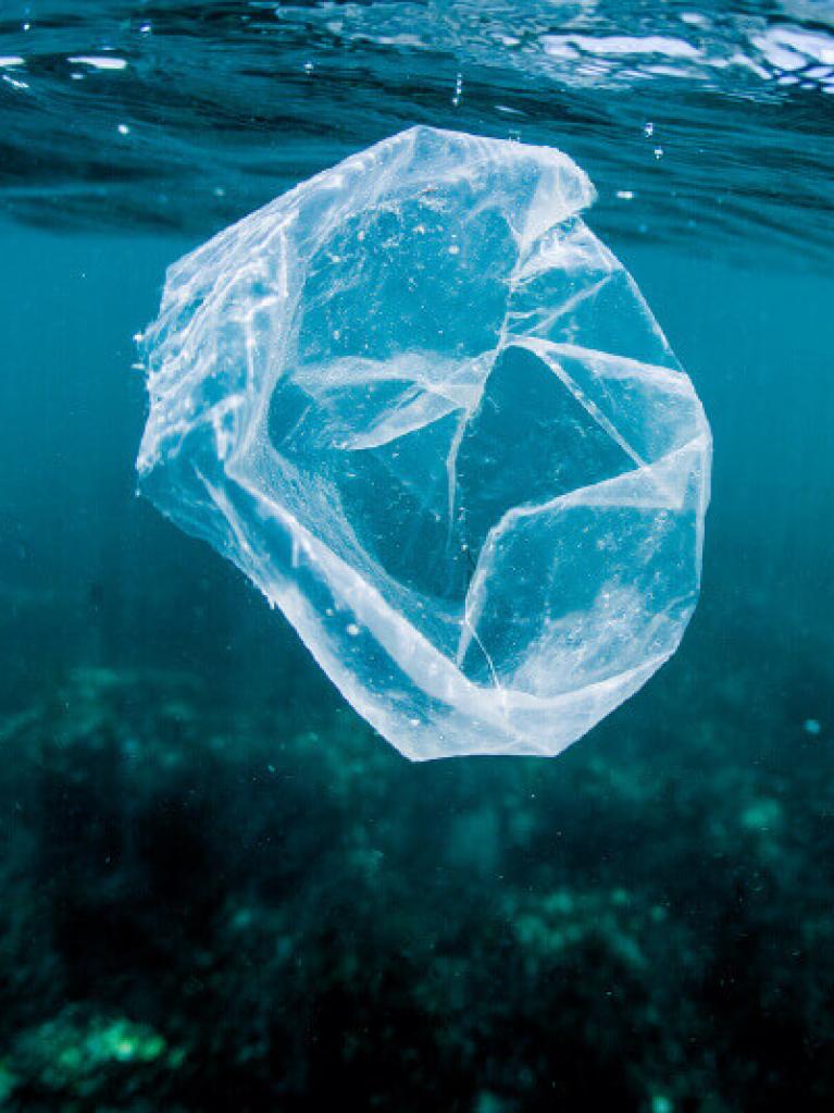 Plastik schwimmt im Wasser