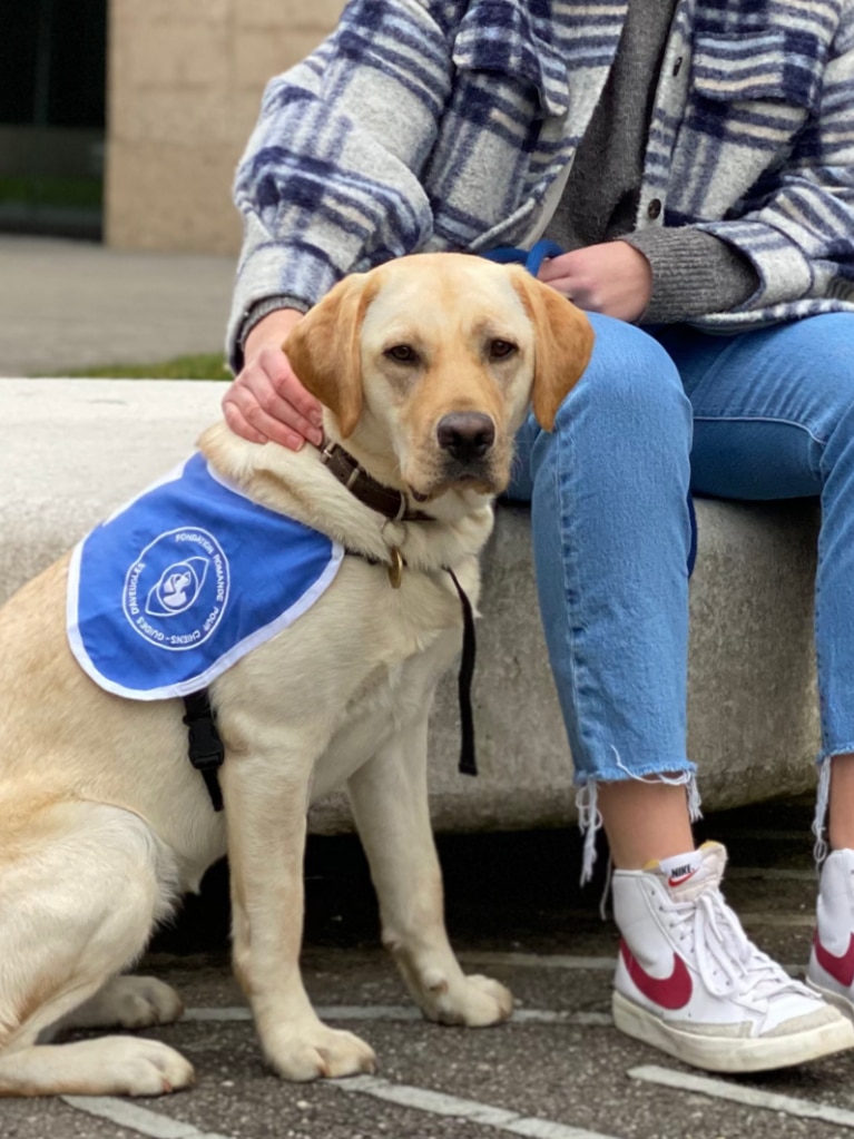 Blindenhund mit Mädchen